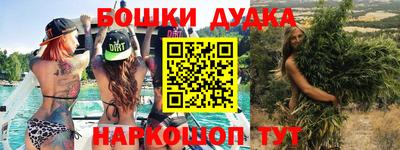 apvp Гатчина