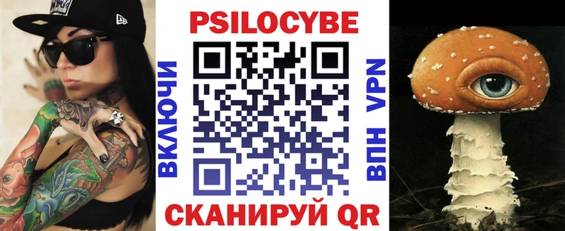 как найти Избербаш Галлюциногенные грибы Cubensis