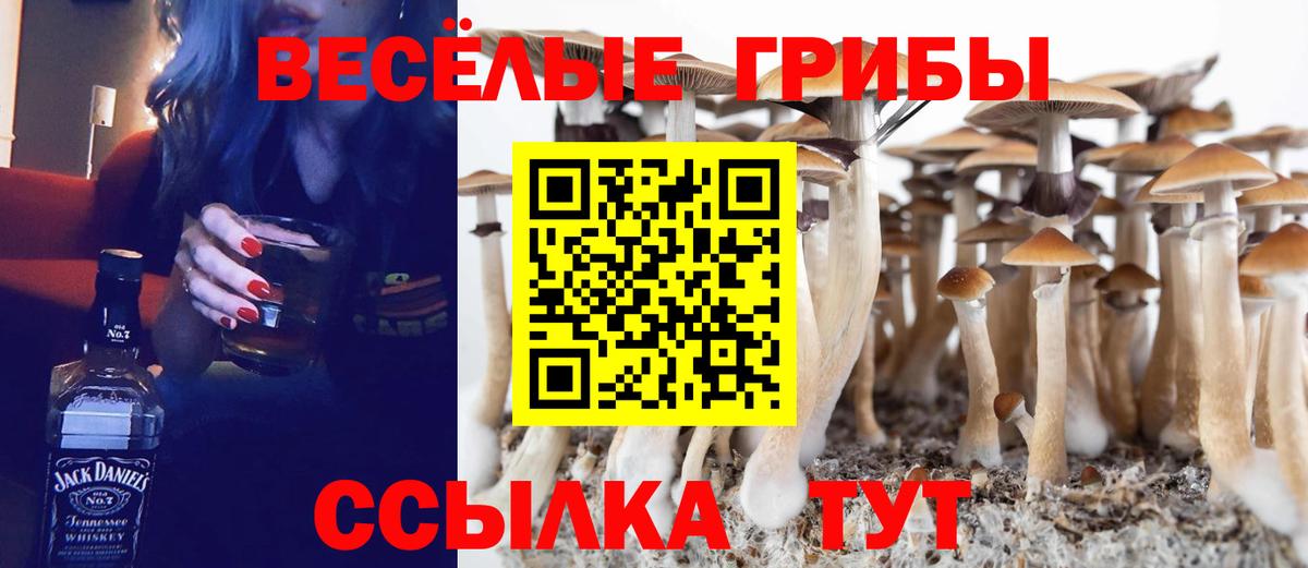 Избербаш  Псилоцибиновые грибы GOLDEN TEACHER  Галлюциногенные грибы мухоморы  Вход с VPN 